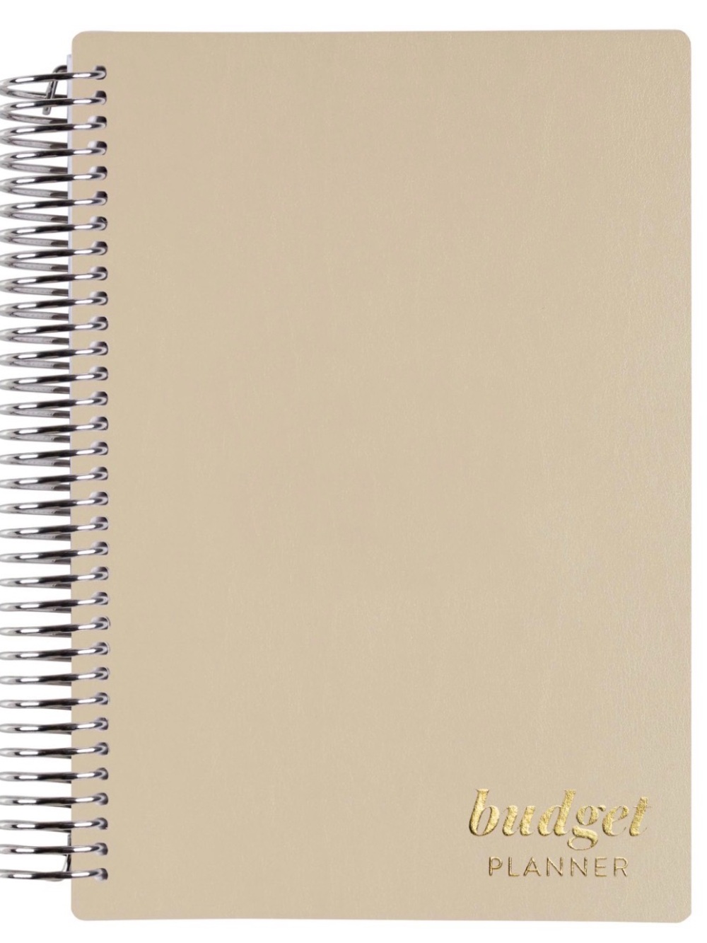 Erin Condren Budge planner
